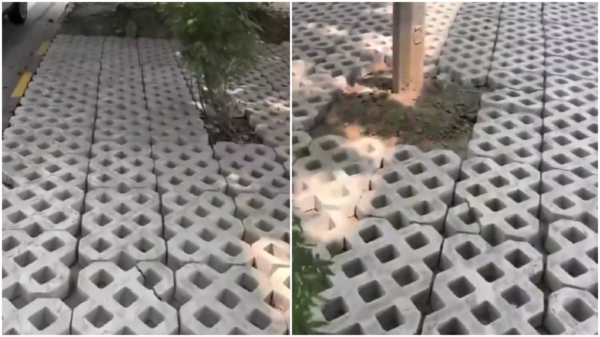 Delhi's New Footpath Design Leaves Residents Puzzled Over Utility