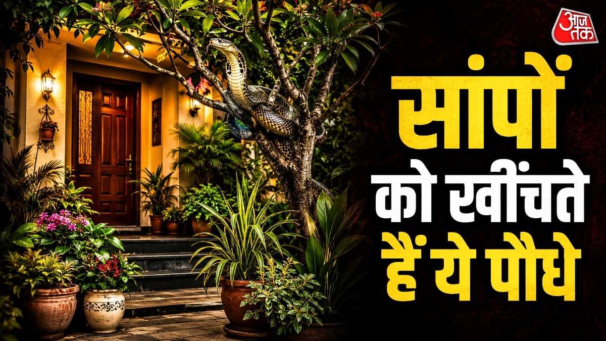 Certain plants attract snakes to homes, experts warn Indian households