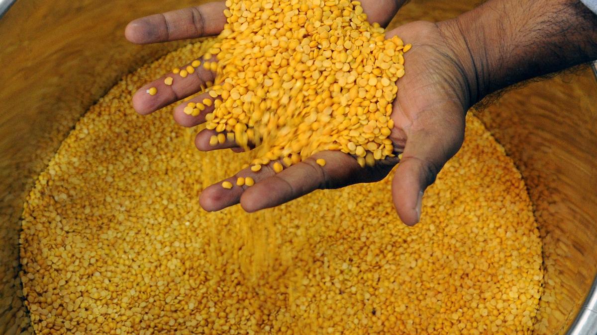 Drought conditions drive rice, toor dal prices to record levels