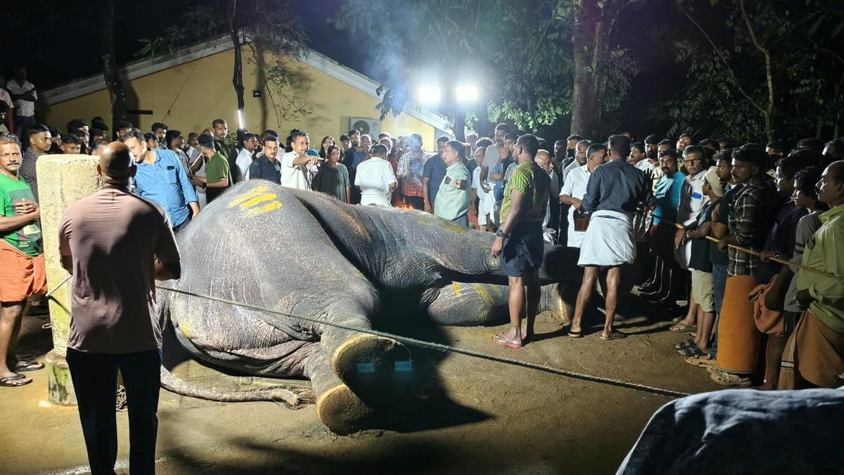 Tusker Pallattu Brahmadathan laid to rest after lightning strike in Kerala
