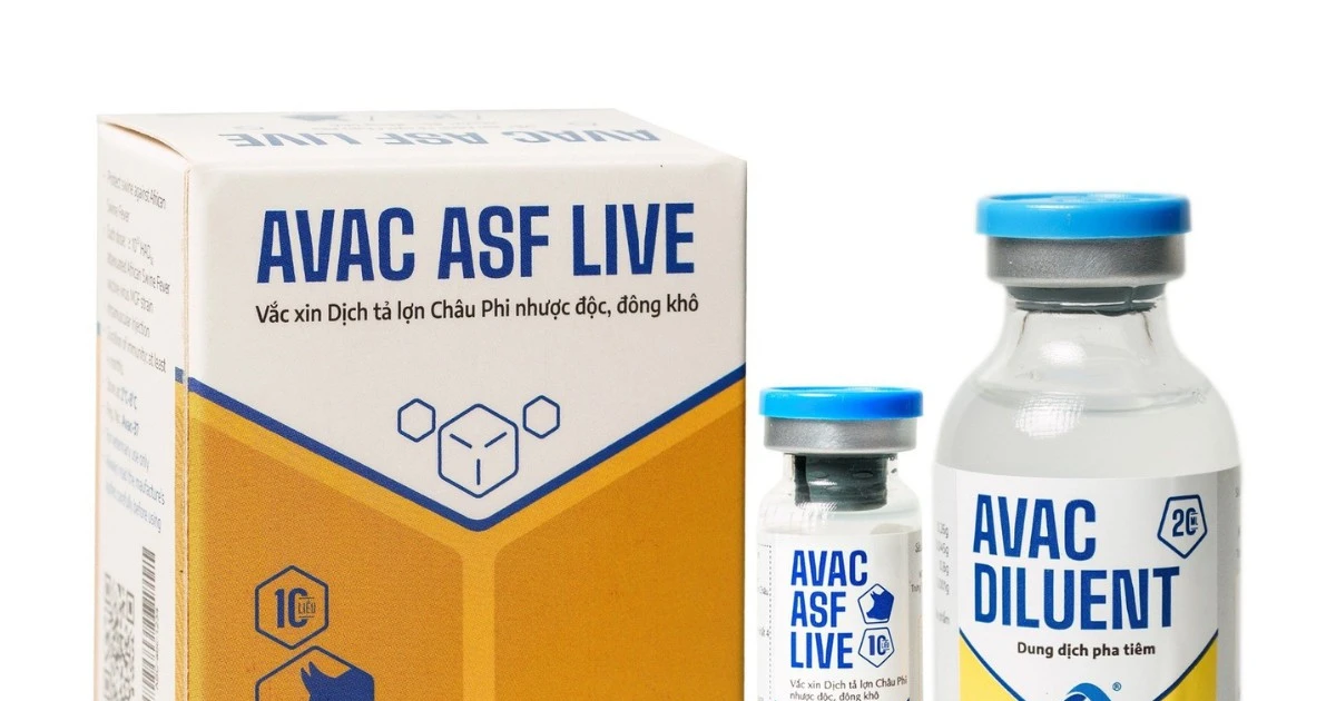 Vietnam ships first commercial African swine fever vaccine order to Philippines