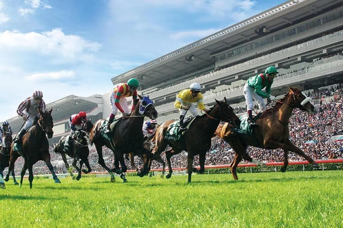 Hong Kong Racing Cancels Sha Tin Meeting Due to Weather