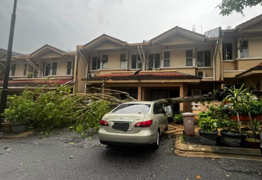 Enam Kenderaan Terjejas Akibat Pokok Tumbang di Selangor