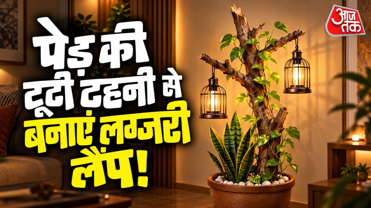 DIY Luxury Floor Lamp From Dried Branches Costs Less Than ₹5000