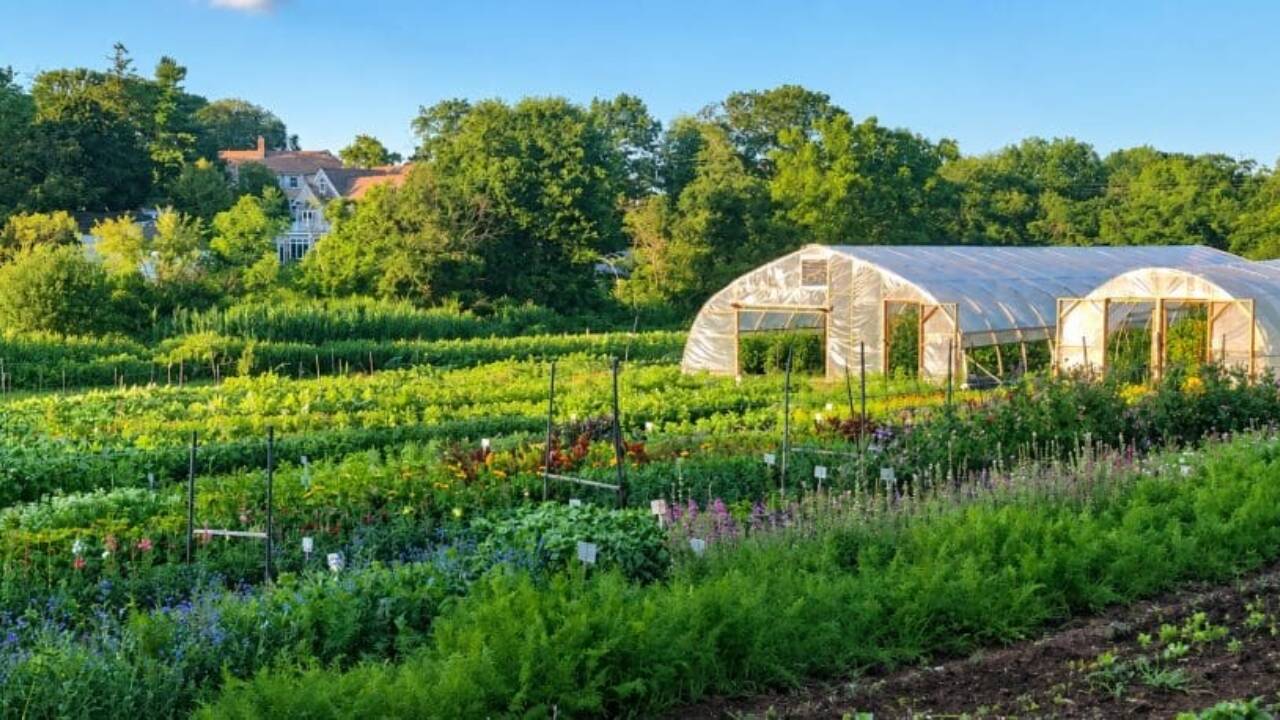 Historic Massachusetts farm secured for future generations through nonprofit initiative