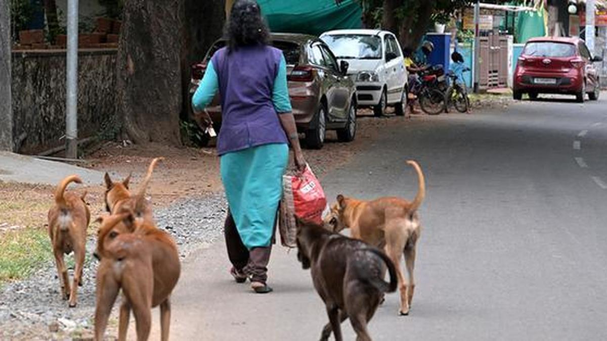 Kerala Establishes Protocol for Humane Euthanasia of Dangerous Stray Dogs