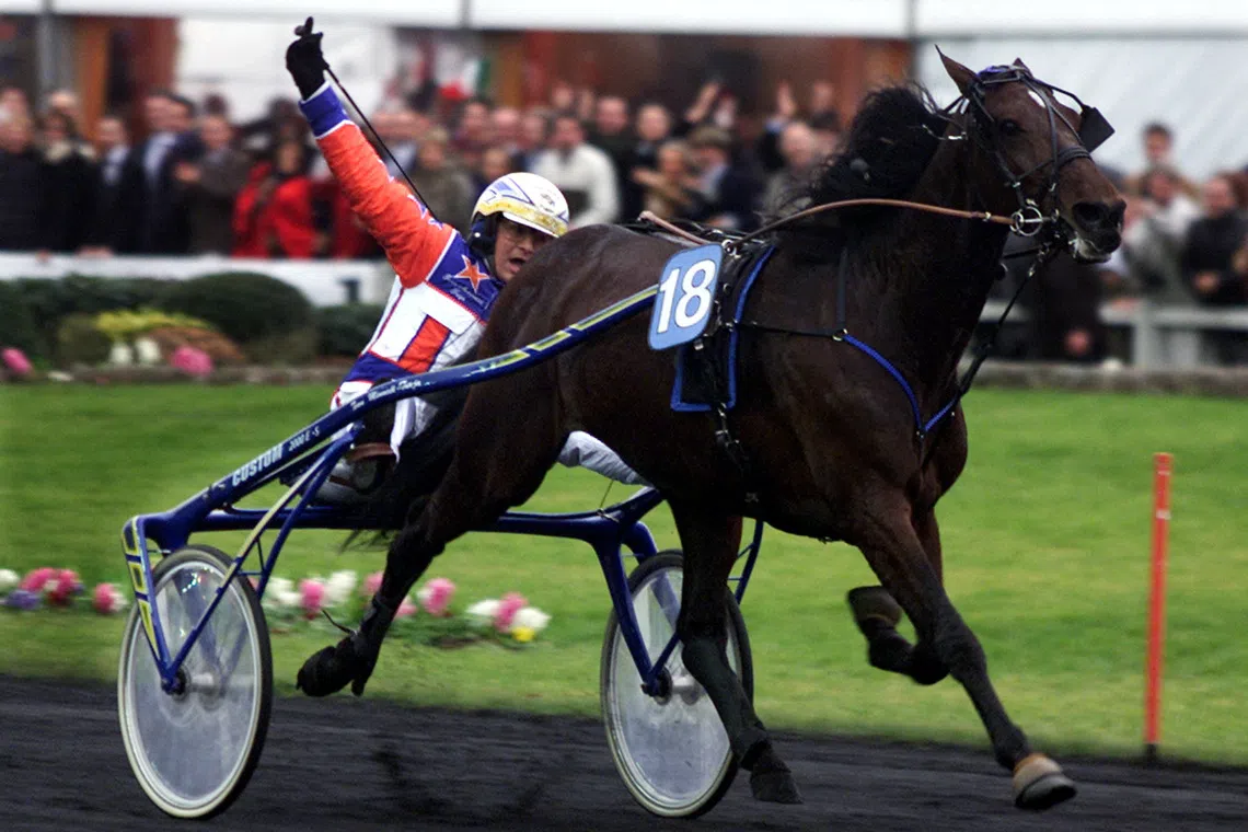 Legendary Italian trotter Varenne dies at 31