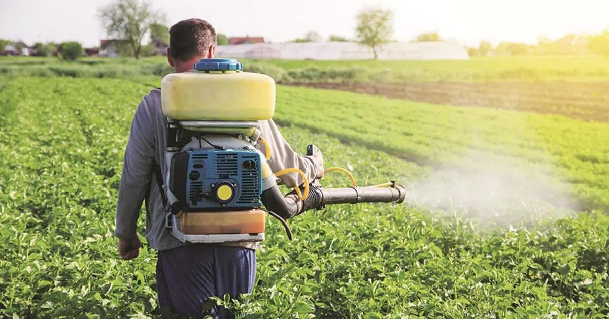 Fertiliser stocks surge on prospect of increased Russian supplies