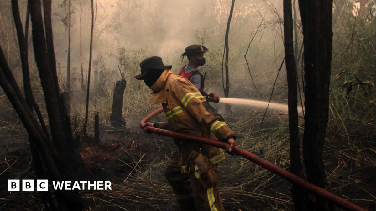 Record-breaking El Niño intensifies ahead of anticipated peak