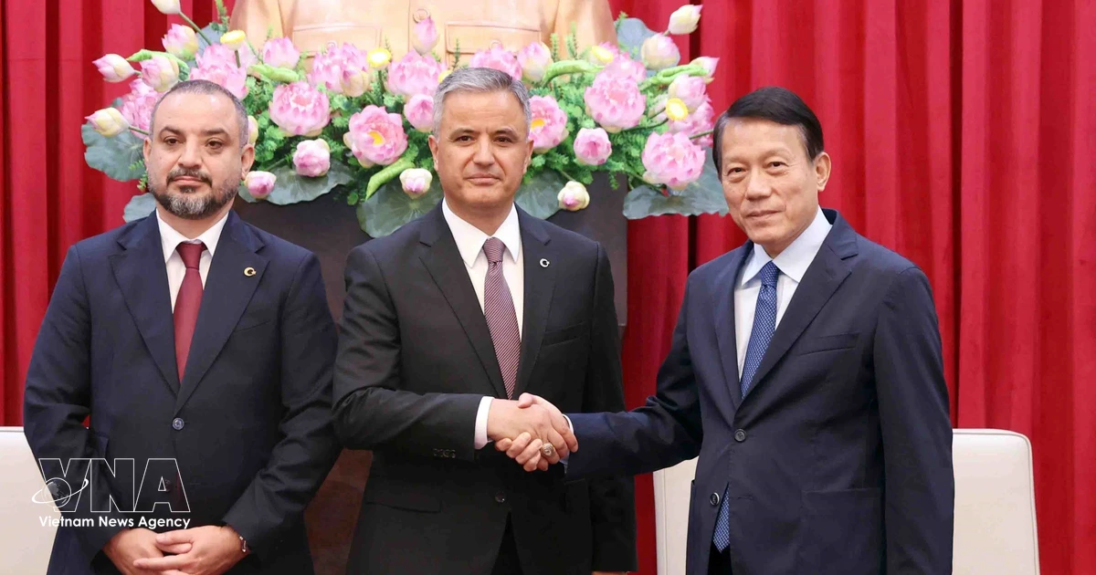 Vietnam, Turkey deepen security cooperation with technology transfer plans