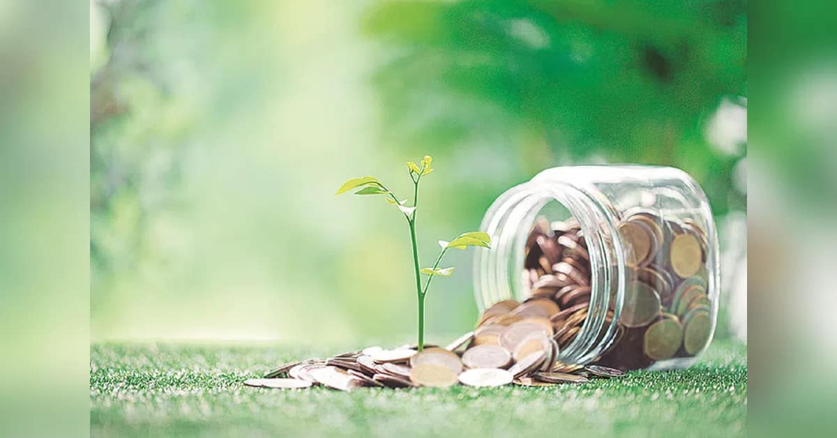 Small-cap surge prompts caution as valuations climb across segments