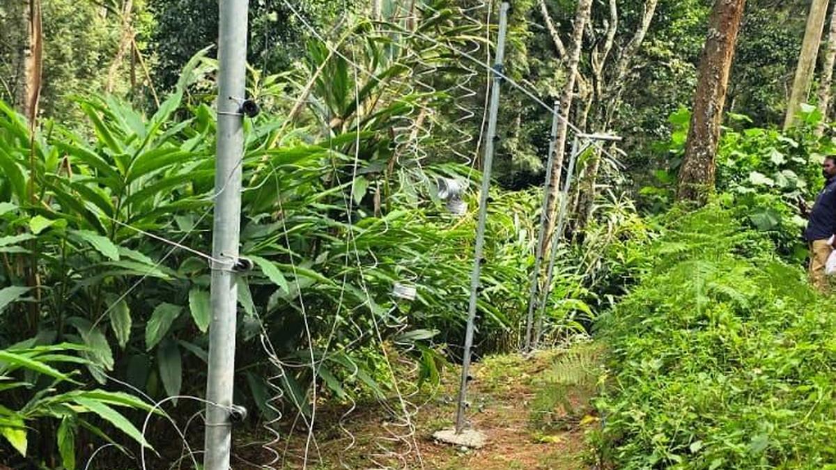 इडुक्की के पंथदिक्कलम में नई बाड़ों ने हाथियों के मार्ग को अवरुद्ध किया