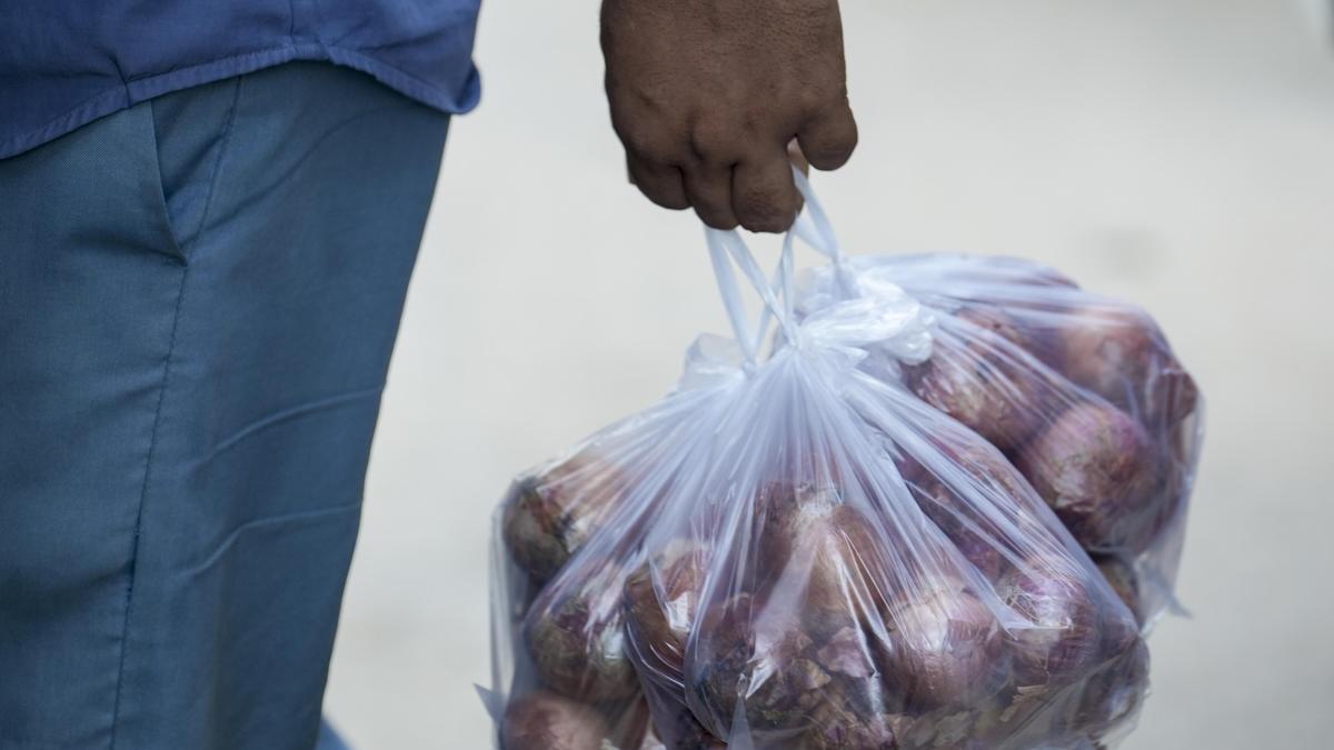 India offloads 4,000 tonnes of buffer onions to stabilise prices