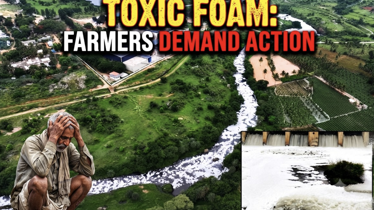 Toxic foam plagues Tamil Nadu dam as farmers seek urgent intervention