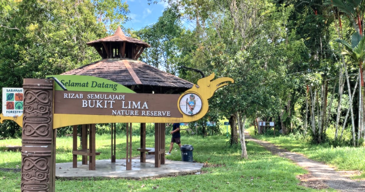 Hutan Gambut Sibu Terbuka untuk Pelawat Melalui Laluan Papan Berjalur