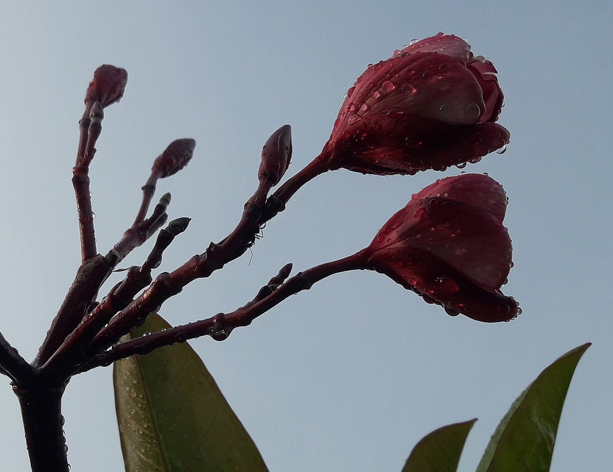 দক্ষিণ এশিয়ায় প্রধান সংবাদ: ১৬ সেপ্টেম্বর