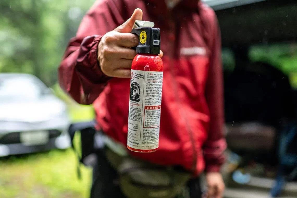 Japan Issues Bear Spray Manufacturing Standards Amid Rising Wildlife Encounters