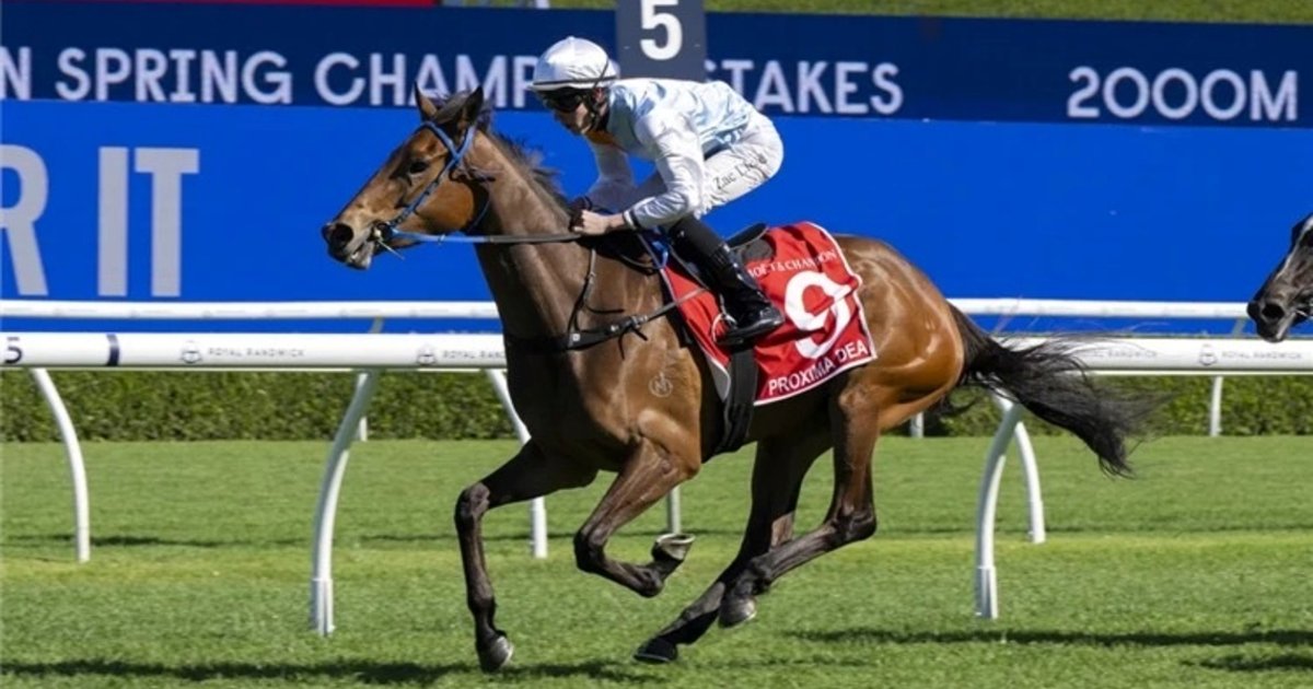 Proxima Dea claims Spring Champion Stakes victory