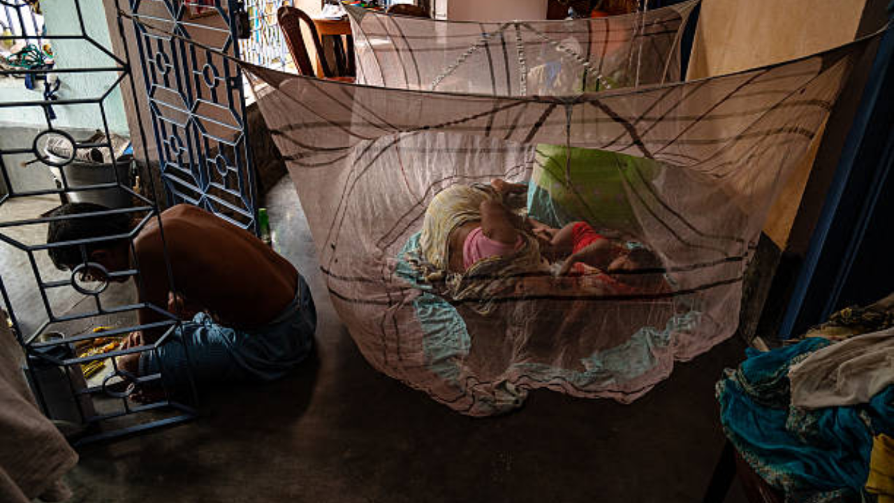 Malaria nets repurposed for fishing threaten African aquatic ecosystems
