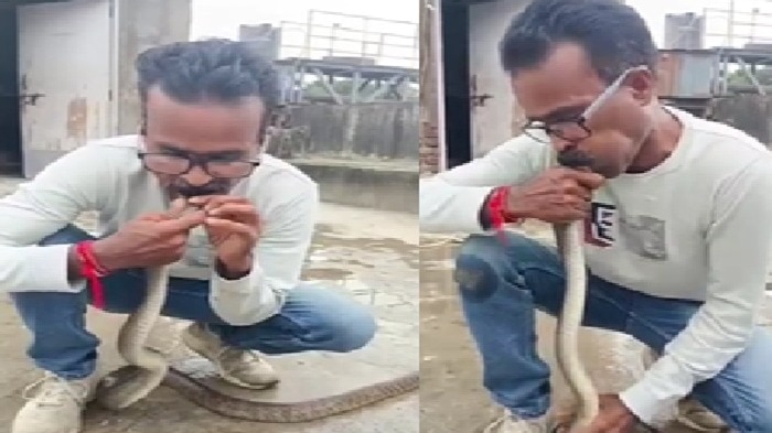 Man performs life-saving CPR on non-venomous snake in Gujarat