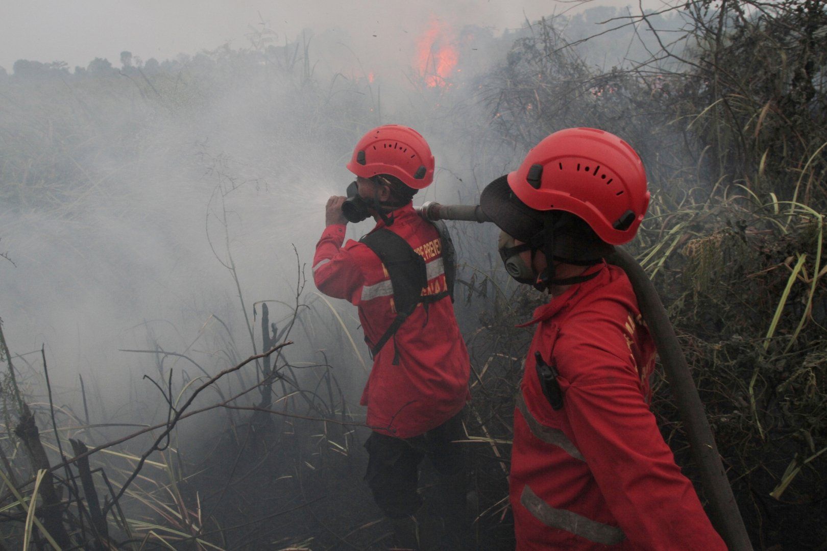 Toxic smoke from Borneo wildfires poses severe health risk to residents
