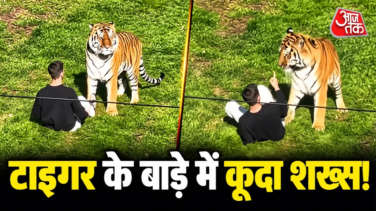 Man dies after entering tiger enclosure at UK wildlife park