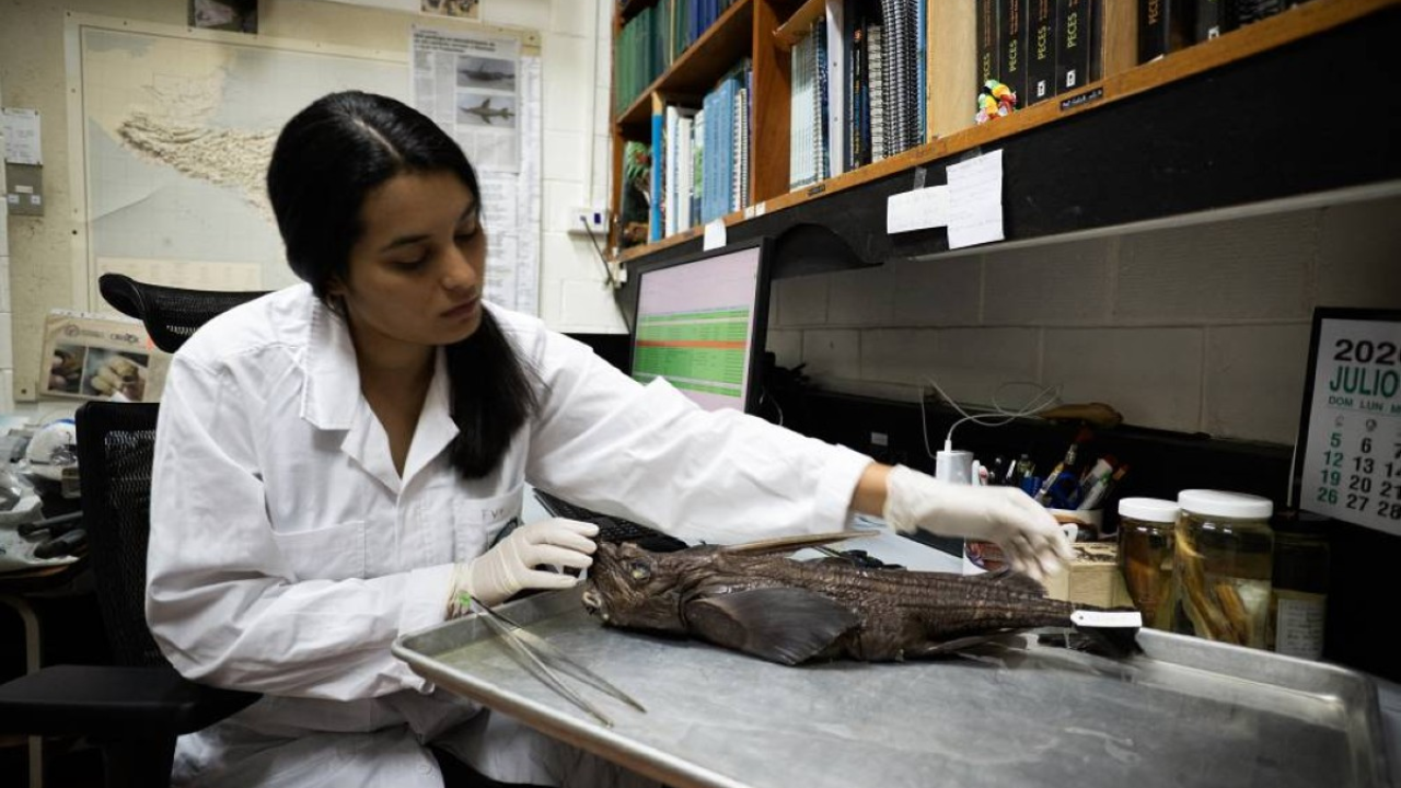 Indian scientist helps unlock secrets of rare ghost shark species