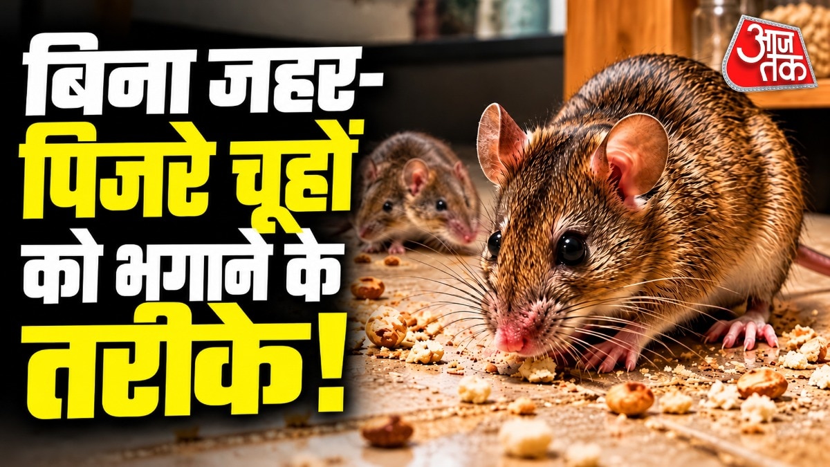 Natural remedies offer effective pest control alternative to poison and traps