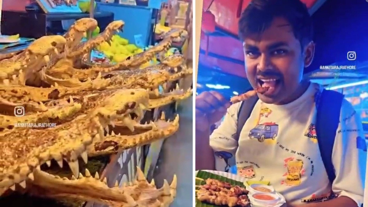 Ujjain civic official faces backlash over crocodile meat consumption in Thailand