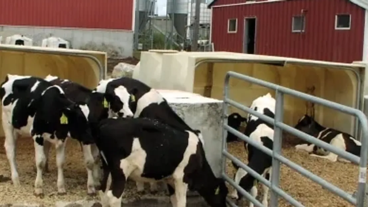 US dairy farm cuts costs by converting waste into renewable energy
