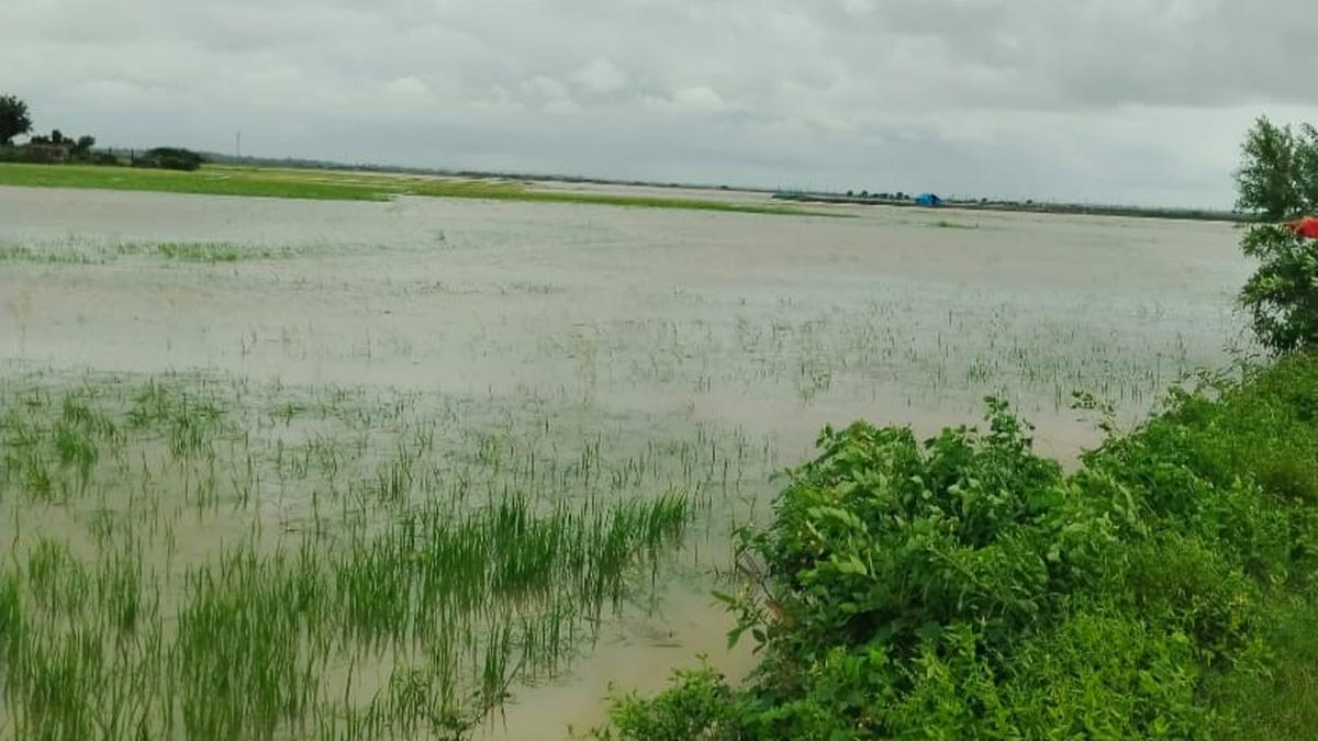 Floods devastate north Andhra as Nagavali river swells to dangerous levels