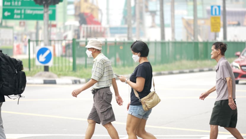 Singapore unlikely to face significant haze on Tuesday, NEA says