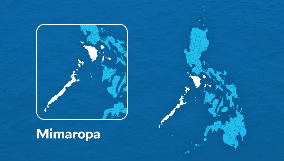 Philippine authorities seize over 63,000 pesos in illegal forest products