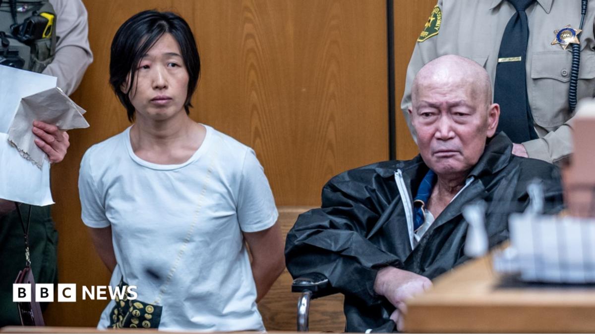 California couple charged with abusing surrogate-born children
