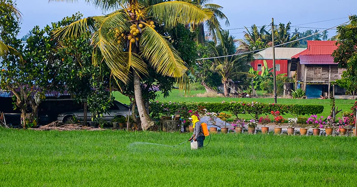 Pesawah kecewa peruntukan RM2.62 bilion tidak seiring kenaikan kos 50%