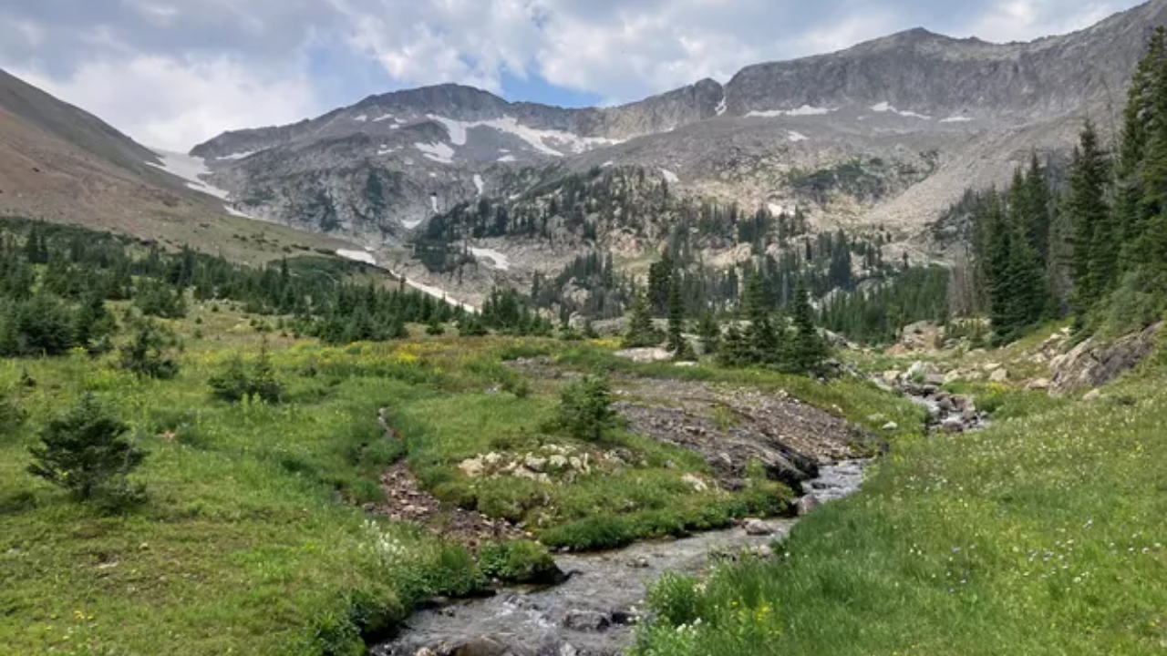 US national park launches major effort to restore endangered trout species