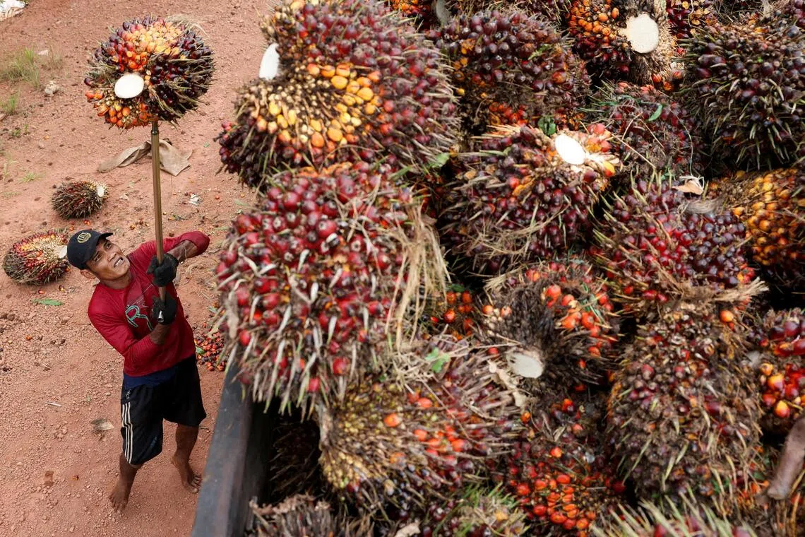 Indonesia plans credible commodity exchange launch in January