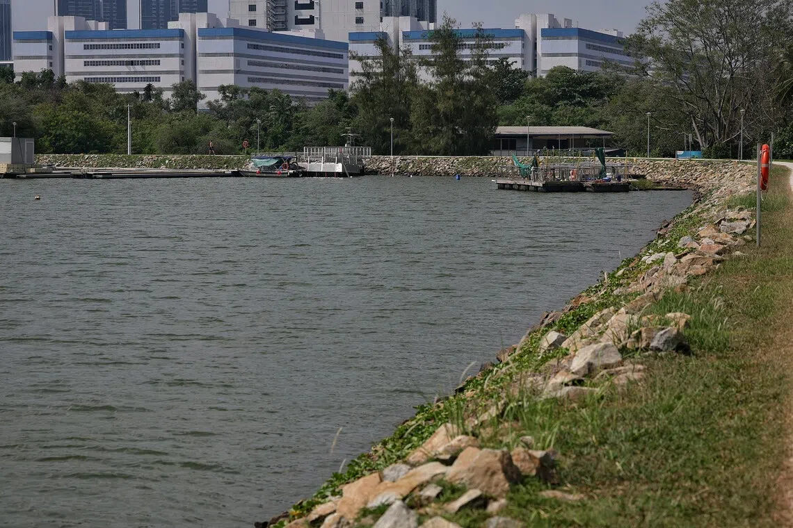 PUB files police report over fabricated crocodile photo at Pandan Reservoir