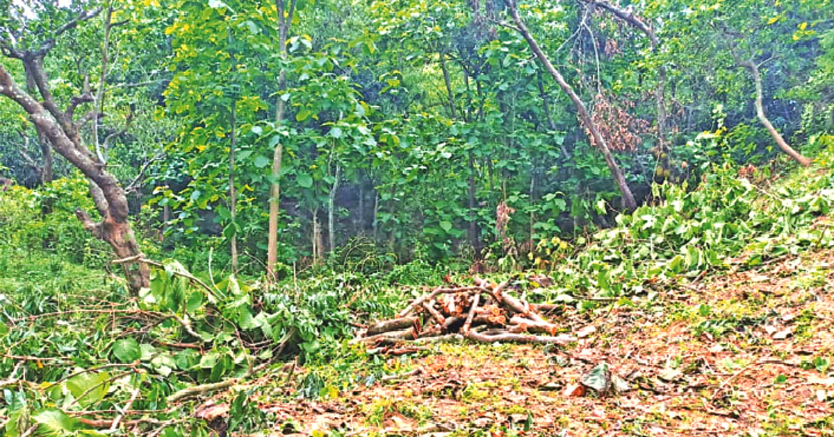 Forest rangers face violent resistance during Rangunia land reclamation drive