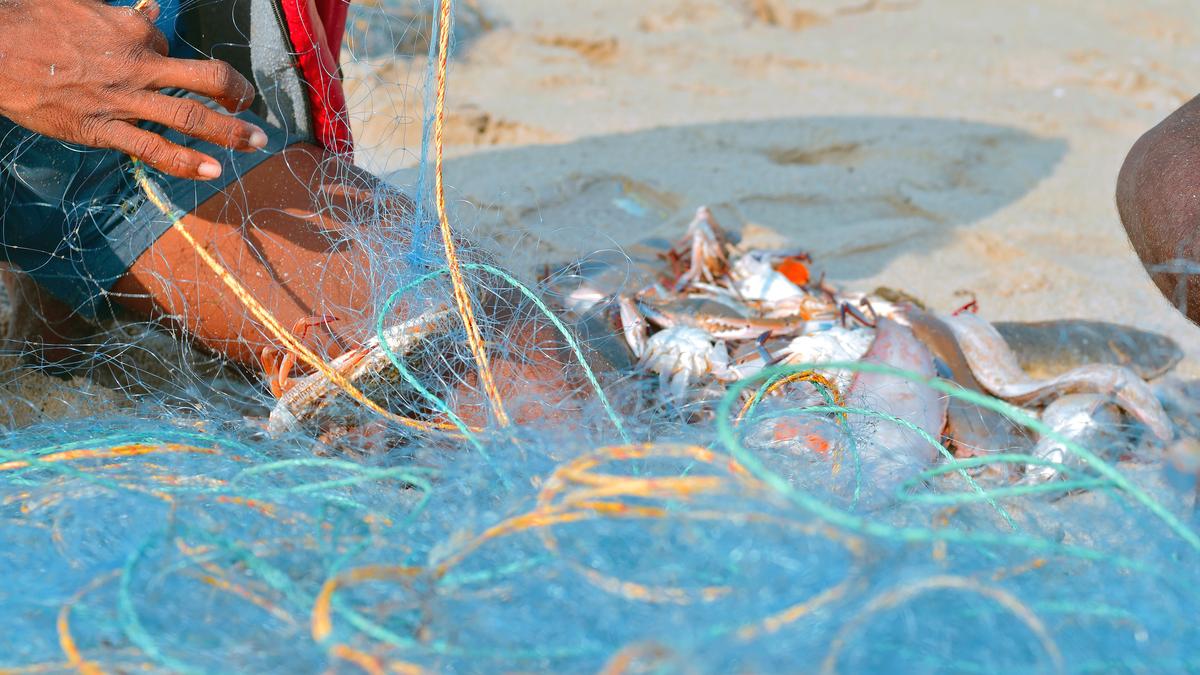 India's inshore fisheries face degradation despite sustainability claims