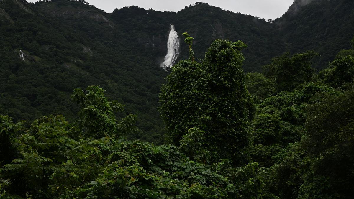 Kerala's ESA dispute sparks political battle in central Travancore region