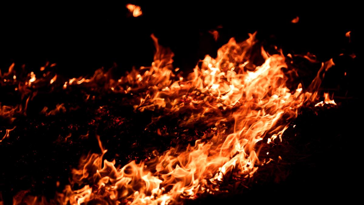 Lokayukta initiates probe into massive crop fire destroying ₹50 lakh worth of harvest
