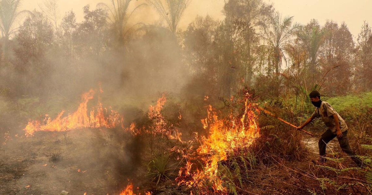 No Malaysian firms linked to Indonesia fires, enforcement focus tightens