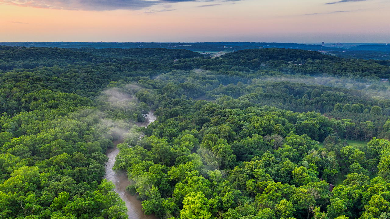 Denmark balances carbon storage against biodiversity in forest management