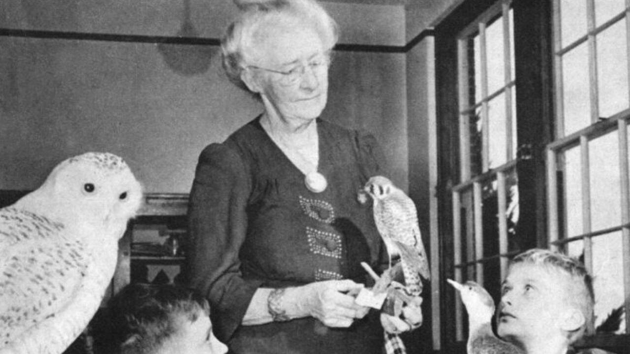 Ornithologist's five-decade bird study creates invaluable historical record