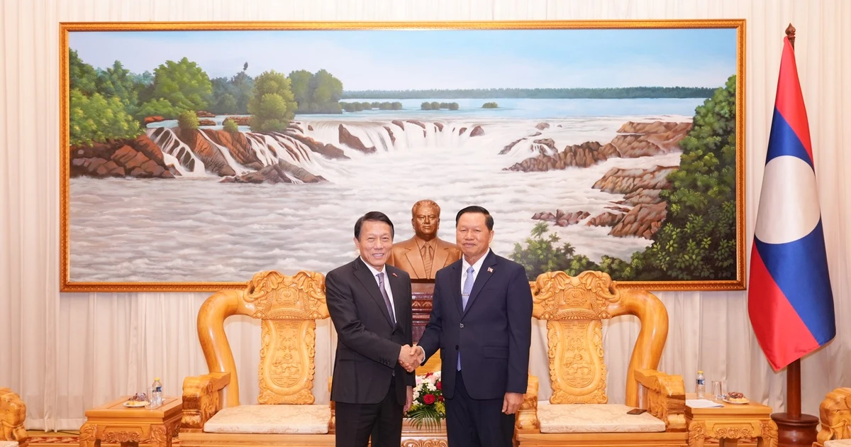 Vietnam and Laos deepen cross-border crime-fighting partnership