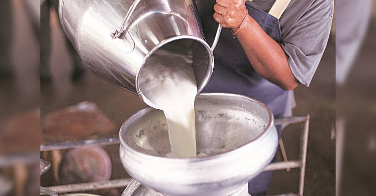 India's dairy sector expands as milk output outpaces domestic consumption