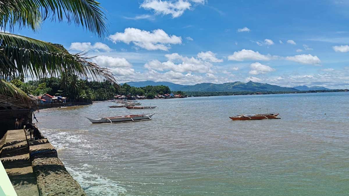Biliran Island shellfish ban lifted as safety tests clear produce
