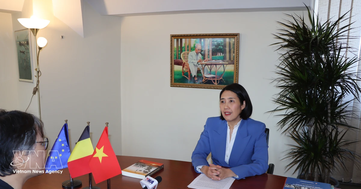 Vietnam poised to deepen strategic partnerships with EU, Belgium
