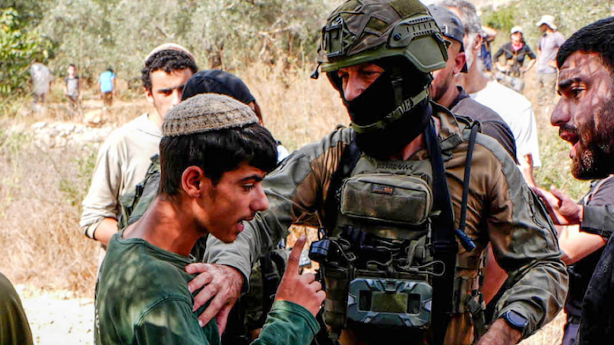 Palestinian farmers seek international protection during West Bank olive harvest